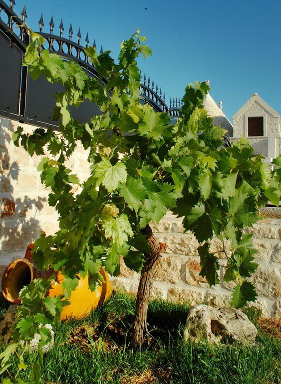 로코로톤도 Trulli Isago B&B 외부 사진